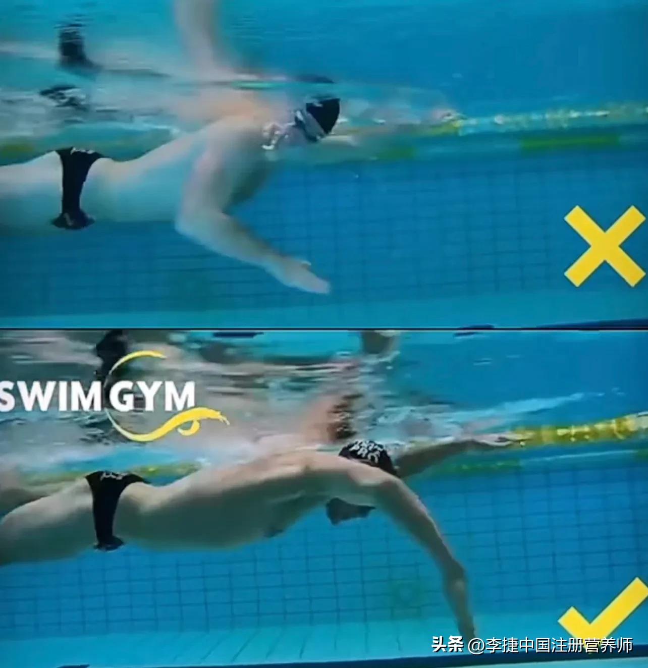 前游泳冠军谈自由泳技术,舒曼自由泳视频