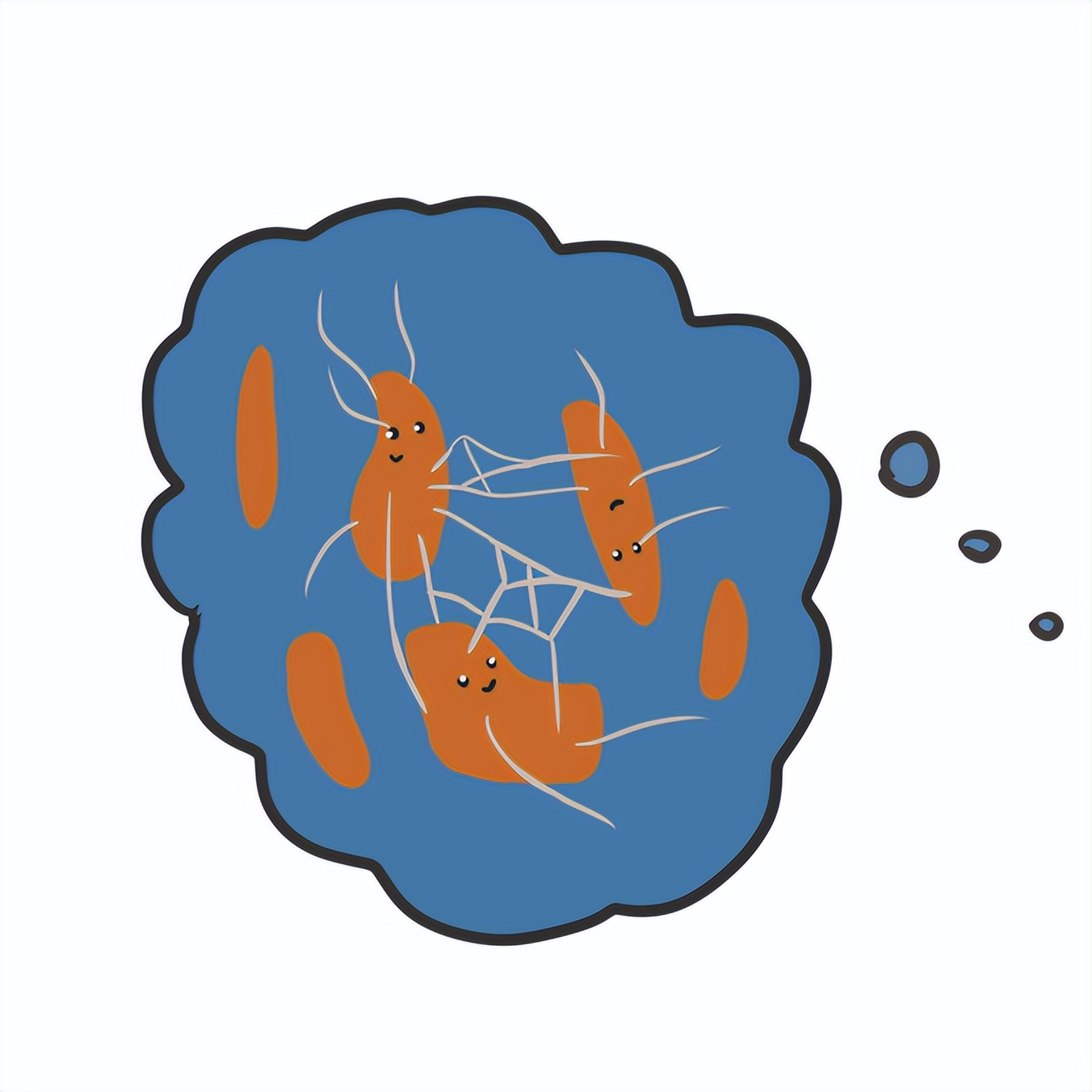 美丽守卫战,美丽保卫战