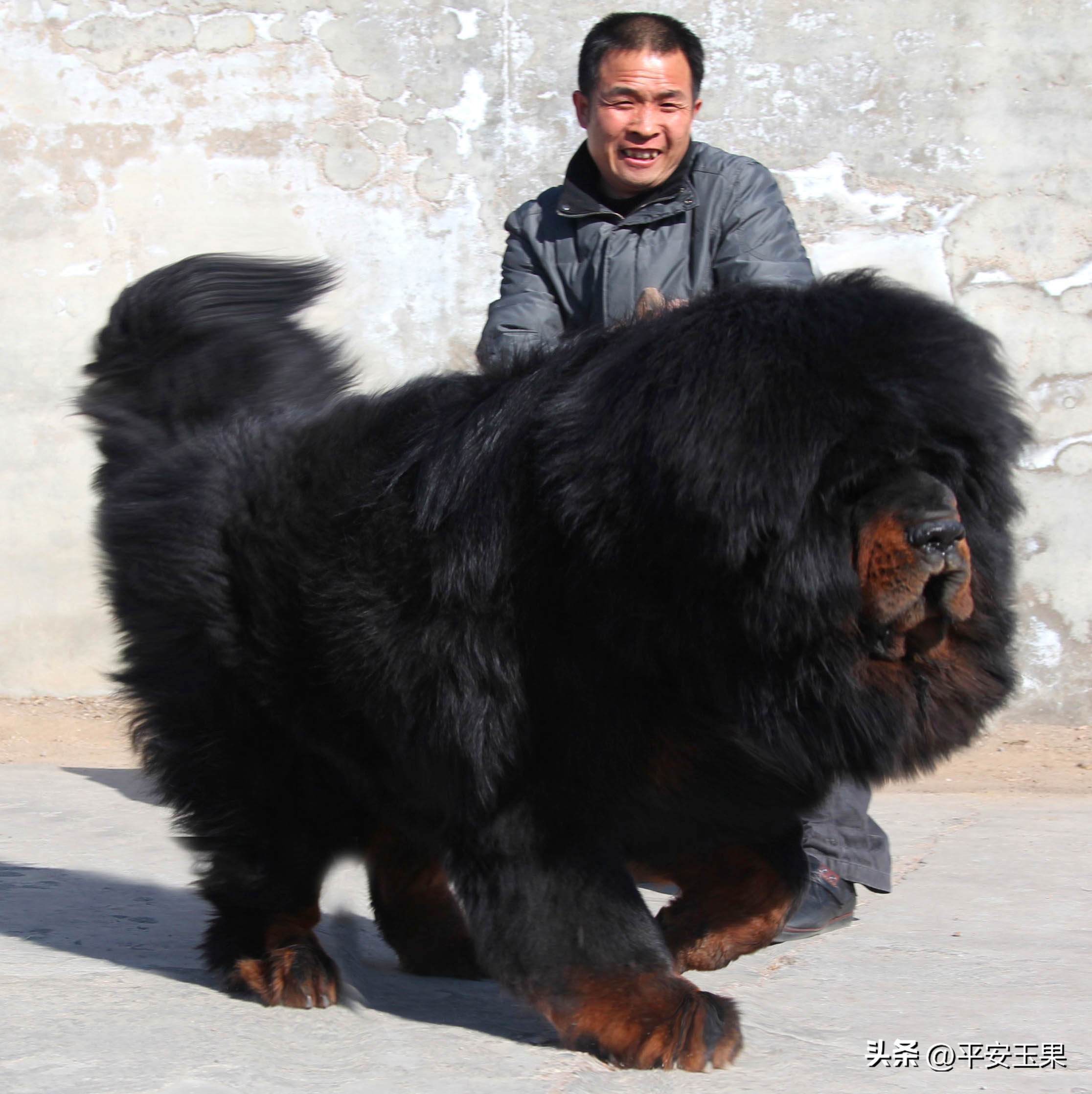 一次摄影的经历,一次拍摄失误的后果