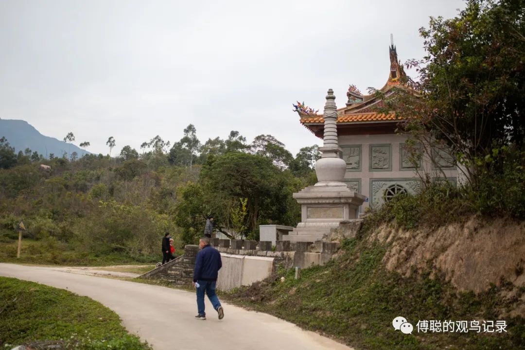 厦门天竺山森林公园旅游攻略,厦门天竺山森林公园步道