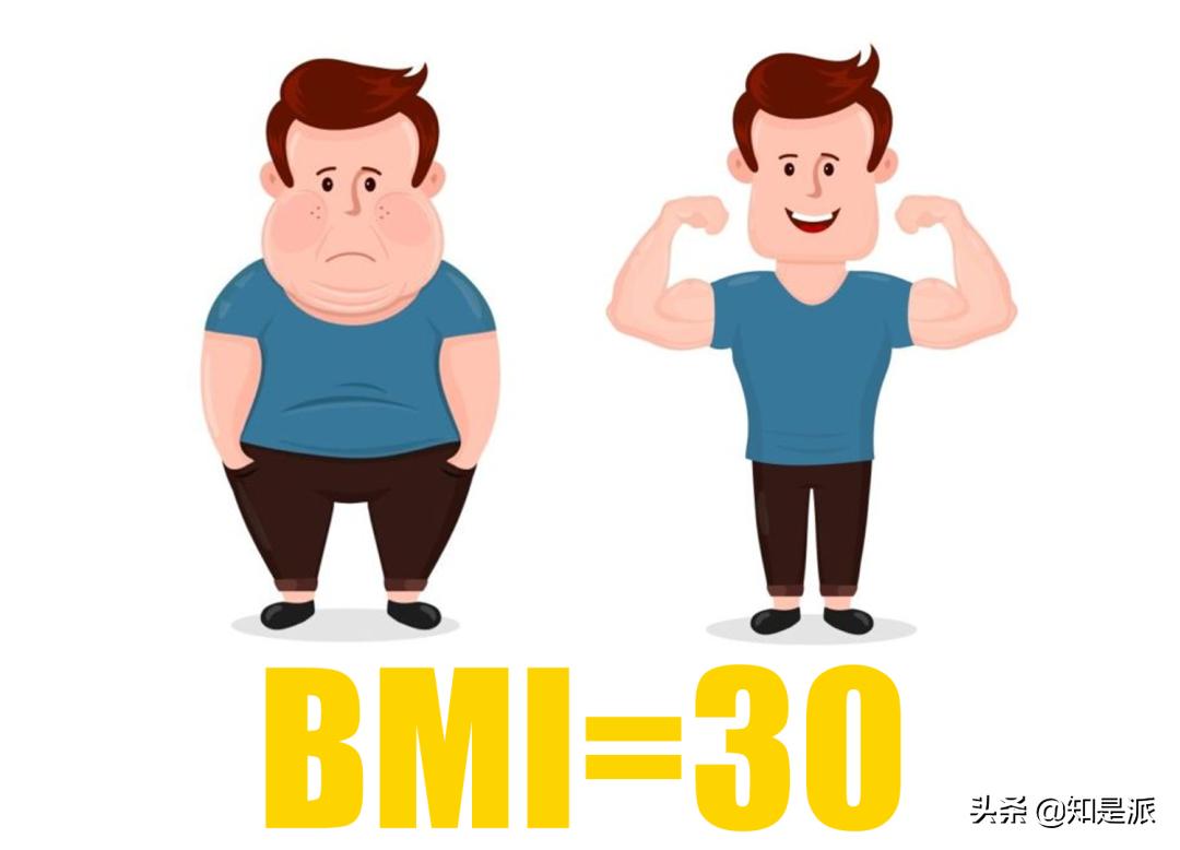 bmi说你胖就必须减肥吗,bmi超过多少就很难减肥成功