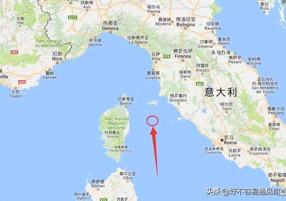 乌俄最新形势,俄乌荷兰战争最新消息