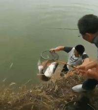 钓鱼终生难忘,钓鱼的遗憾