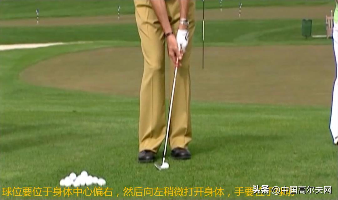 大卫利百特切杆,大卫利百特全挥杆教学