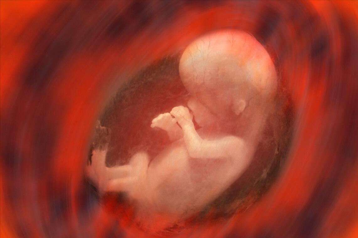 胎儿送给母亲的神秘礼物