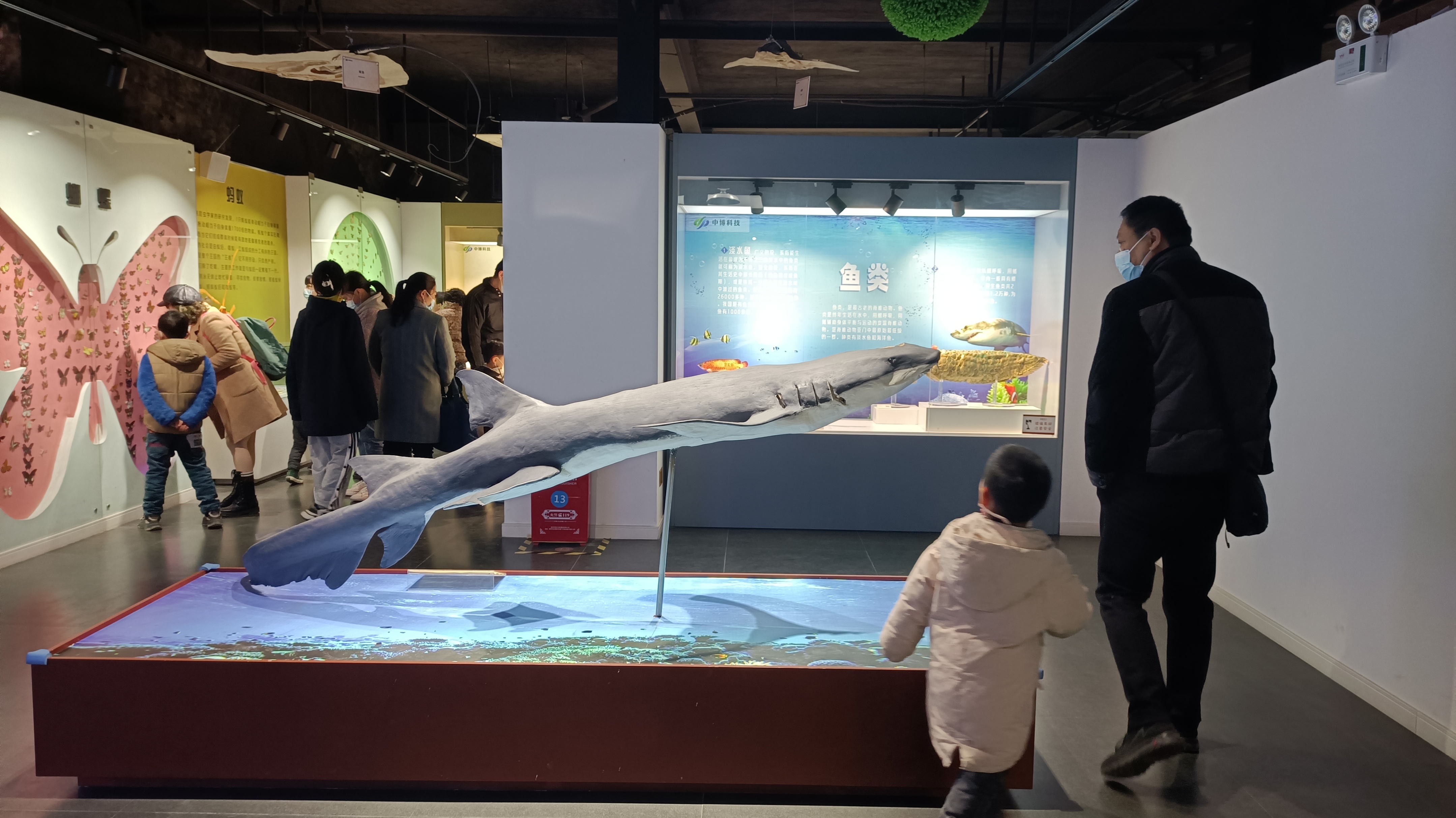 郑州周边游玩夏季景点攻略,郑州周边避暑旅游景点推荐