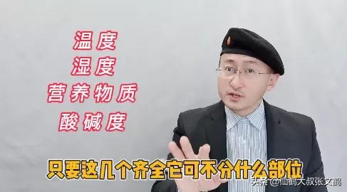 脚气有密密麻麻小水泡怎么办,脚气发痒传到了手上怎么快速消除