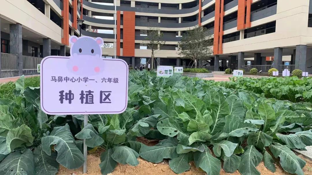 校园文化十大亮点,校园文化特色经验交流