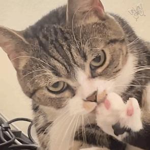 如何清除360全家桶,如何彻底卸载360全家桶