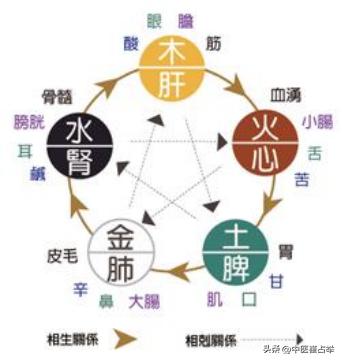 护肝养肝补脾倪海厦,疏肝解郁健脾补肾倪海厦