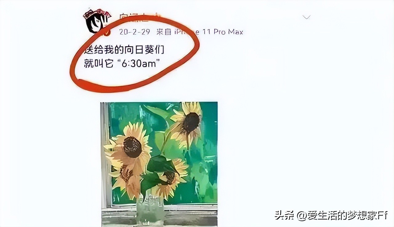 吴磊徐静蕾,吴磊与85年小花的绯闻