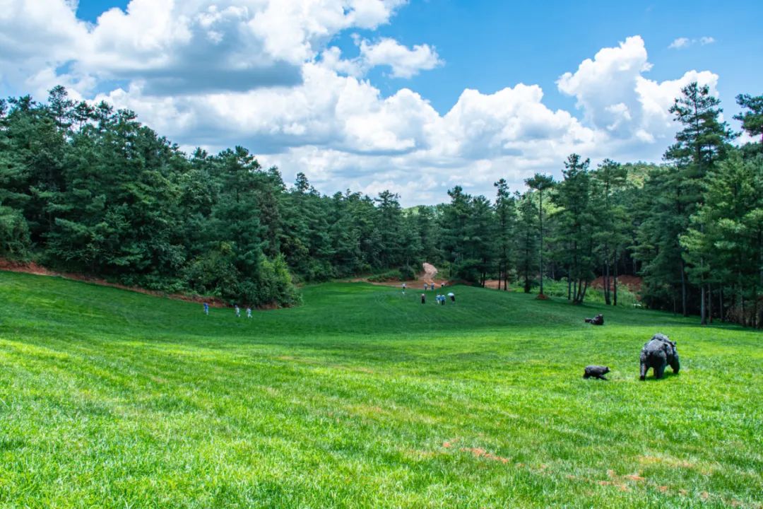 昆明周边周末游玩的地方推荐,昆明周边游玩的好地方推荐