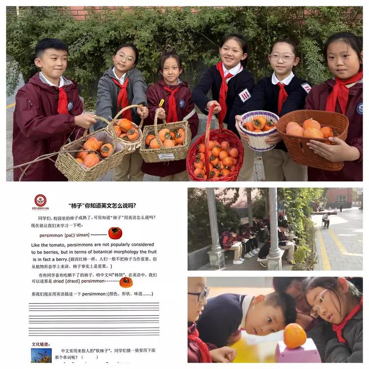 鑲叉墠灏忓绱犺川鏁欒偛,鑲叉墠灏忓鏁欒偛鐞嗗康