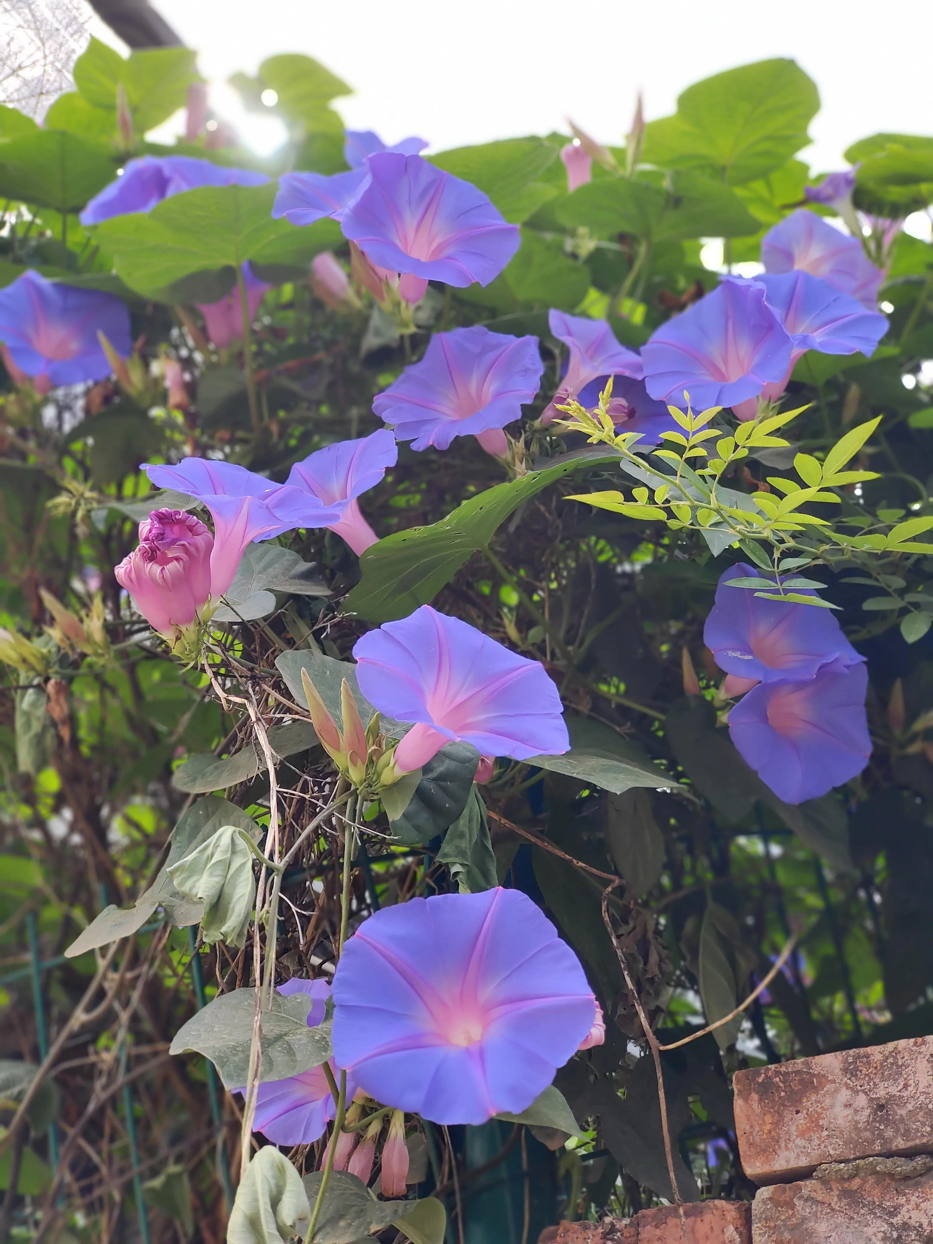 有快速把手上的刺弄出来的妙招吗,轻松去除手扎刺