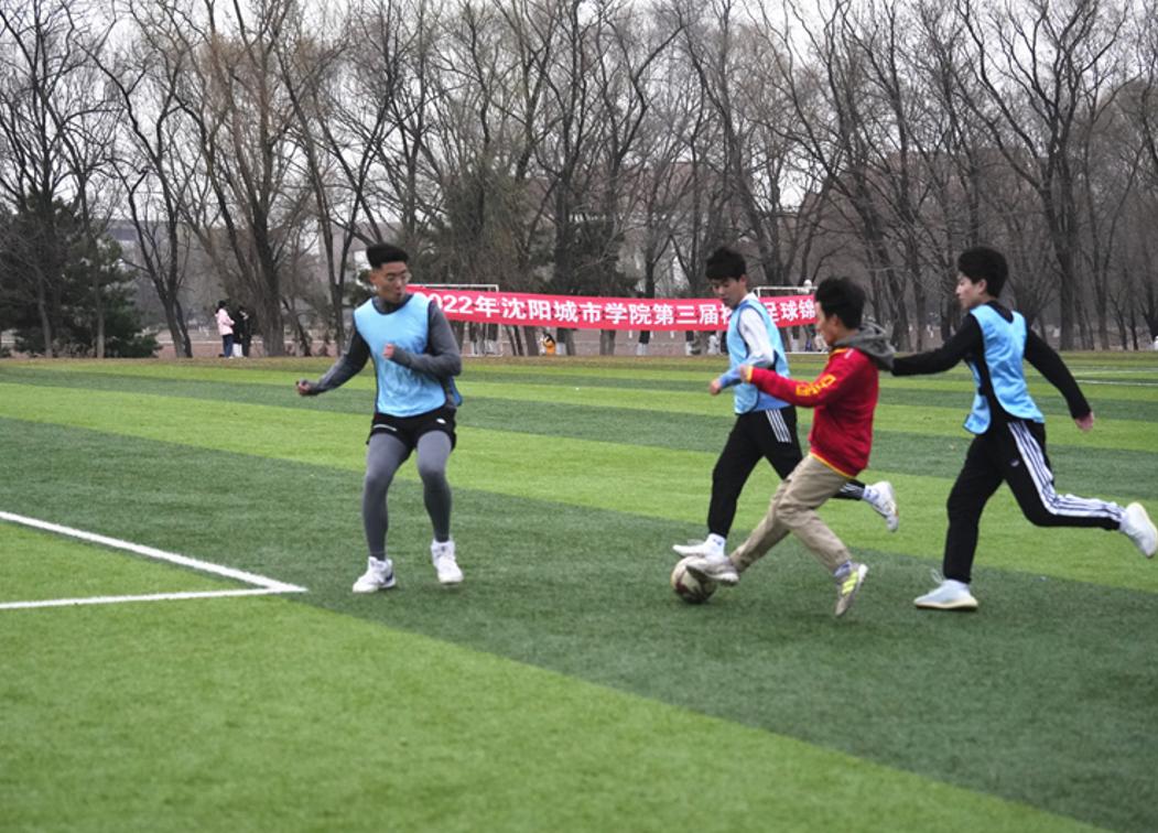 加油世界杯,加油巴西世界杯