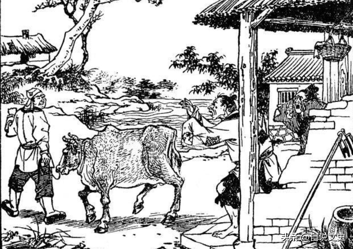 民间故事妇人设下圈套,民间真实故事耍把戏