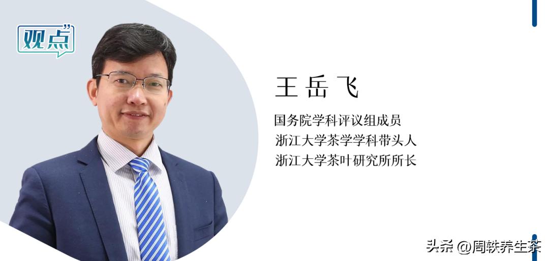 茶学专业前景分析,为什么要选择茶学专业这个专业