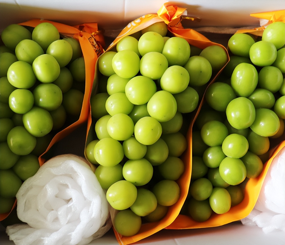 日本葡萄价格多少一斤,日本葡萄八块钱一个