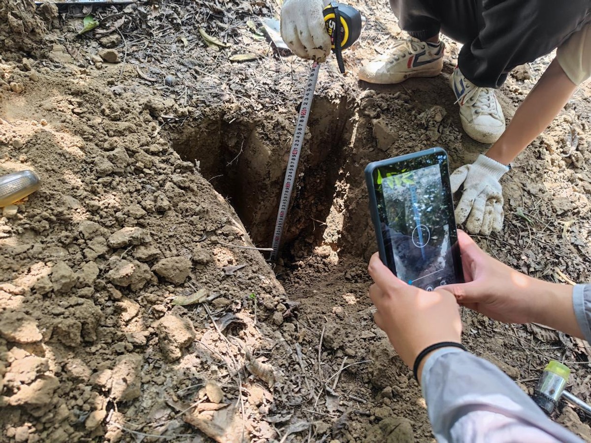 土壤普查与采样方法有哪些,土壤样品的采样方法有哪几种