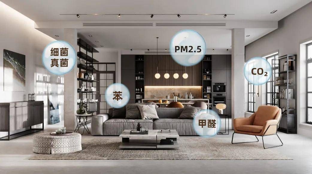 为了猫咪戒烟,为了猫咪健康最好喂什么