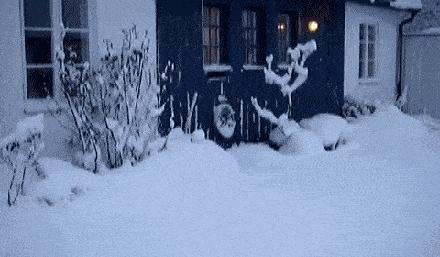 “姑娘你不能挡一下那里么？那东西让人看了很难为情”哈哈哈