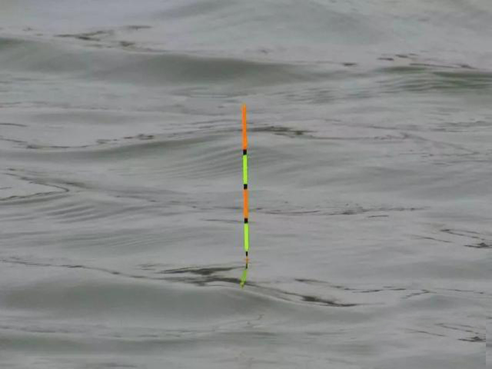 野钓入门鱼饵料怎么选合适,野钓鱼竿选购攻略和技巧