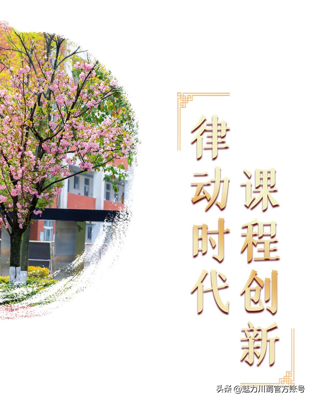 代码009，与未来快乐邂逅丨@中考学子，这里是绵阳中学实验学校