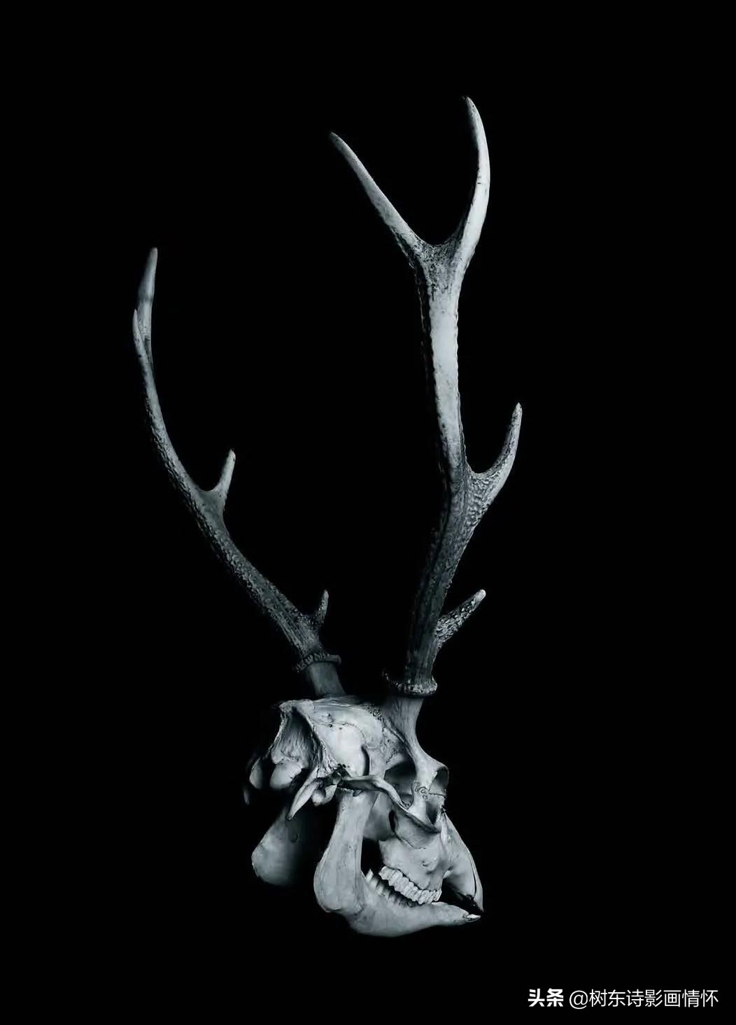 摄影美到极致令人一见倾心,旧景摄影别样美