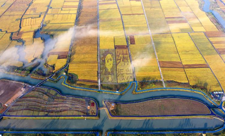 温州秋天的景,温州的秋天