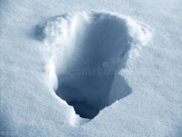 寒风中的枪声——（二）刺激的夜猎（上）