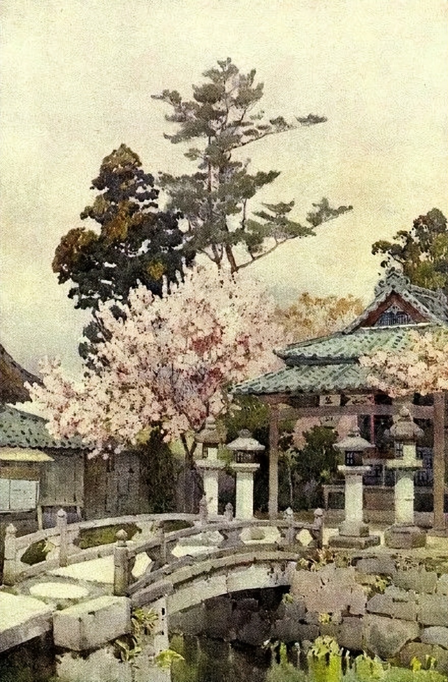 鑻卞浗鐢诲michael楂樻竻鍥剧墖浣滃搧,鑻卞浗姘村僵鐢诲elladucane缁樼敾浣滃搧