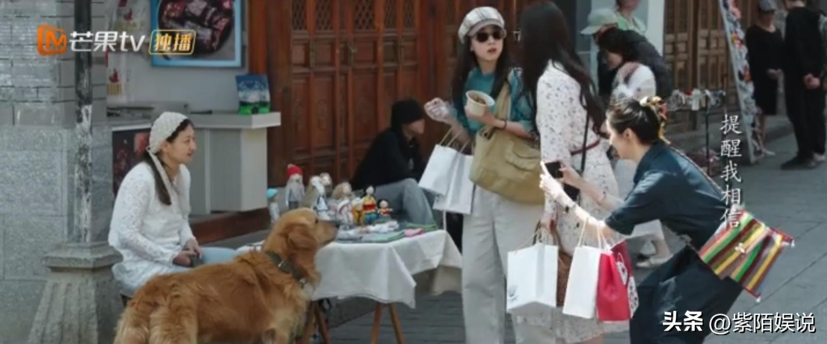 刘亦菲去有风的地方演技吐槽,去有风的地方刘亦菲和其他人同框