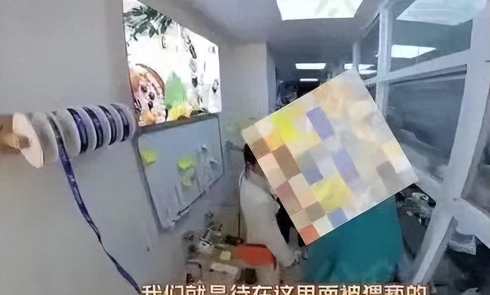 “幼儿园小朋友创可贴实验”揭露当下荒诞社会真相！