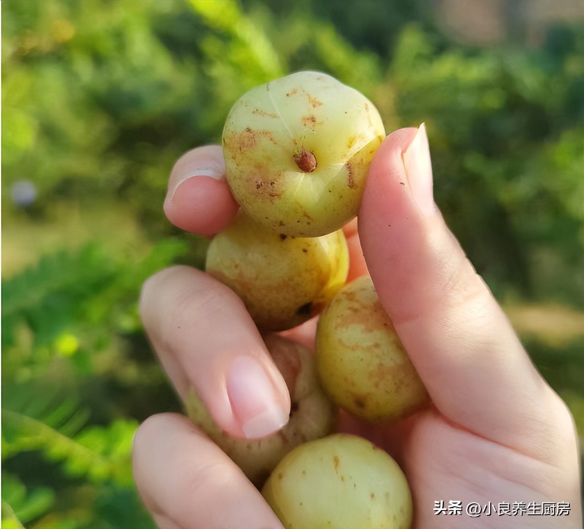 春季儿童咳嗽吃什么水果止咳,干咳止咳润肺水果