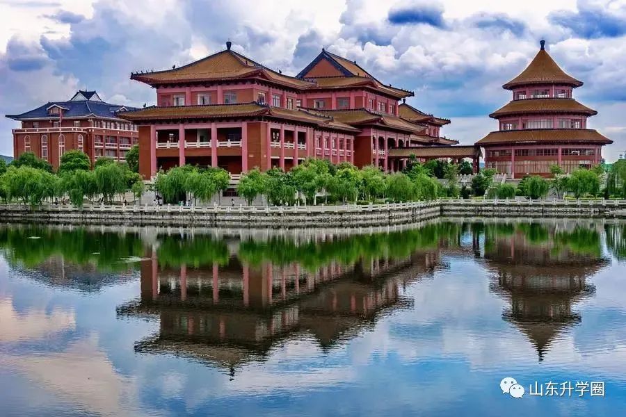 山东高考志愿填报最好专业,山东高考志愿填报专业及录取