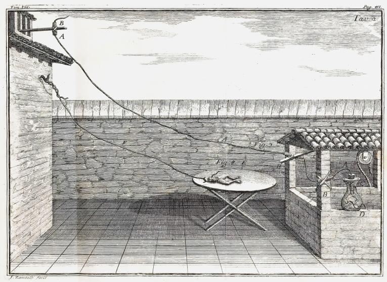 人体的生物电是怎么产生的,生物电的原理与来源视频