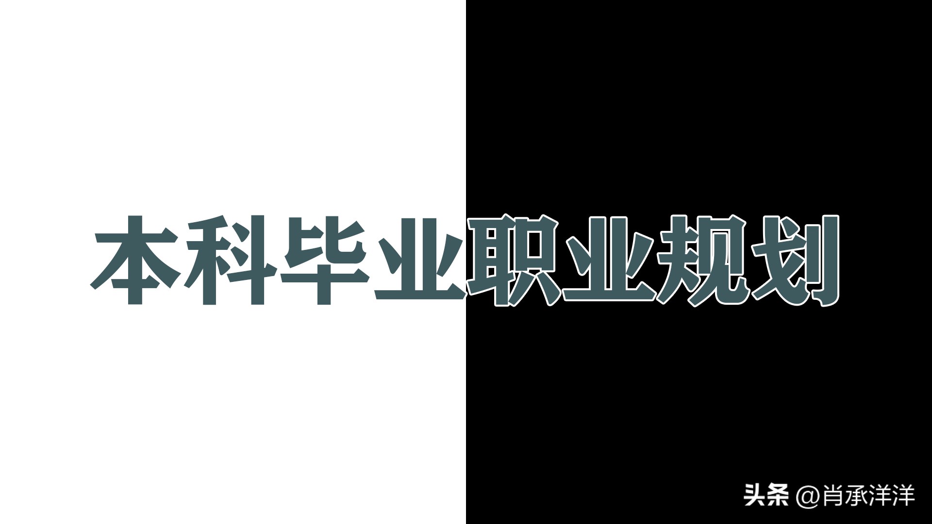 谈谈专业以及对未来职业的规划,结合专业谈谈自己的就业规划
