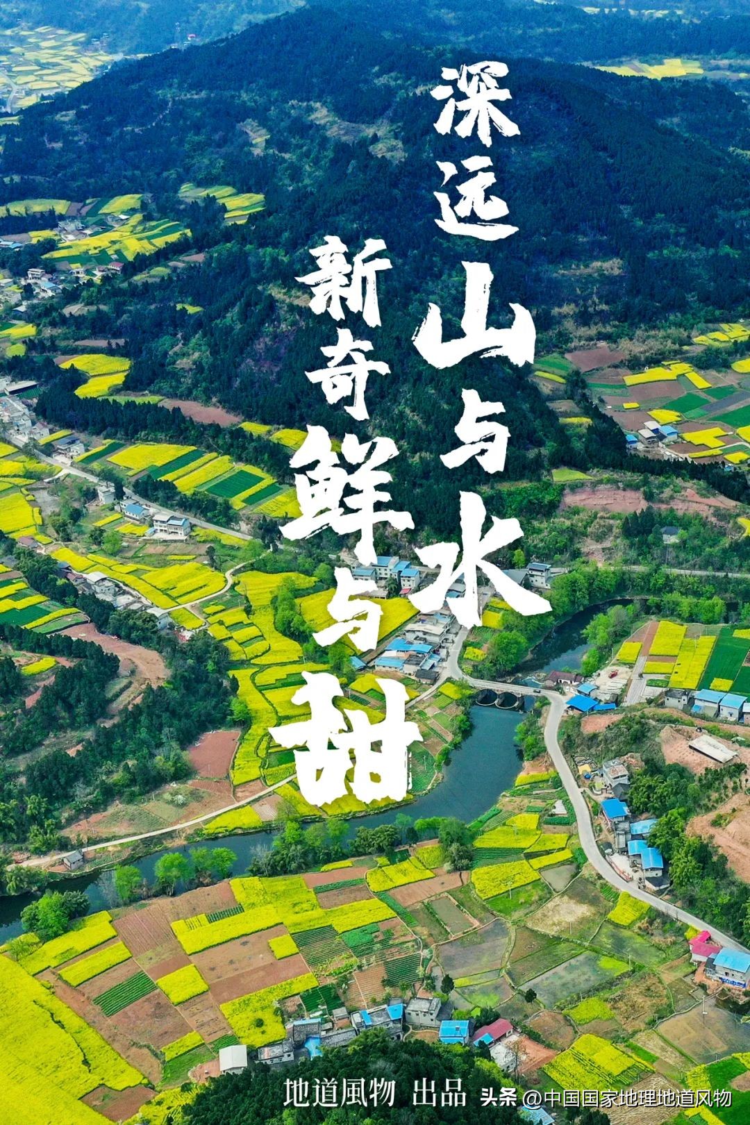 大山深处有哪些秘密,大山里的秘密是哪里的