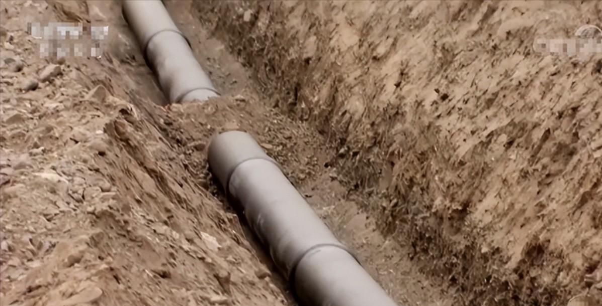 甘肃女子变卖家产花千万开发沙漠,女子砸千万家产完整版