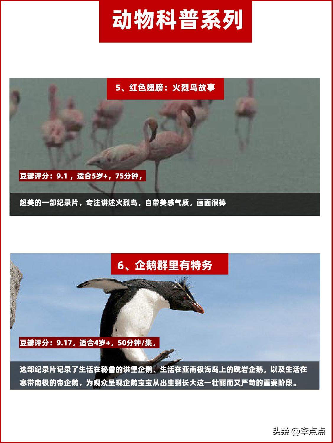 央视为孩子们拍的八部神级纪录片,央视推荐3-6岁必看纪录片