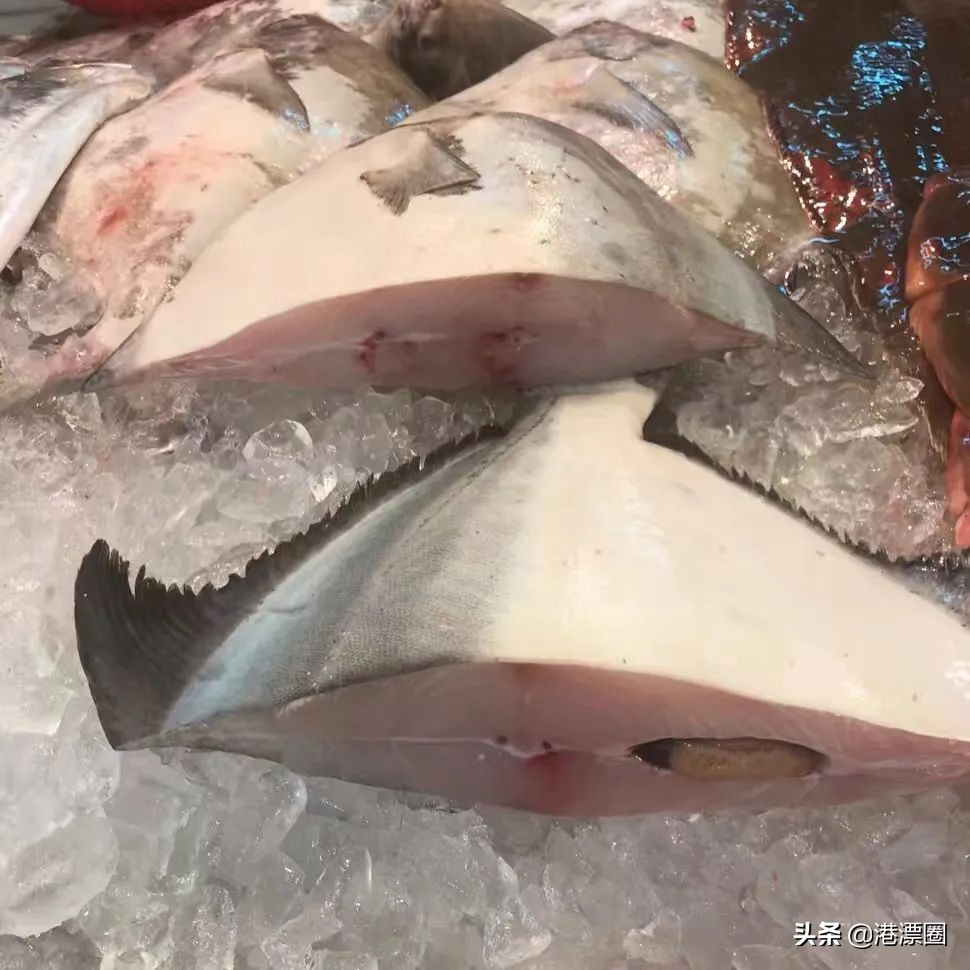 香港有钱人真实生活,香港富翁体验底层生活