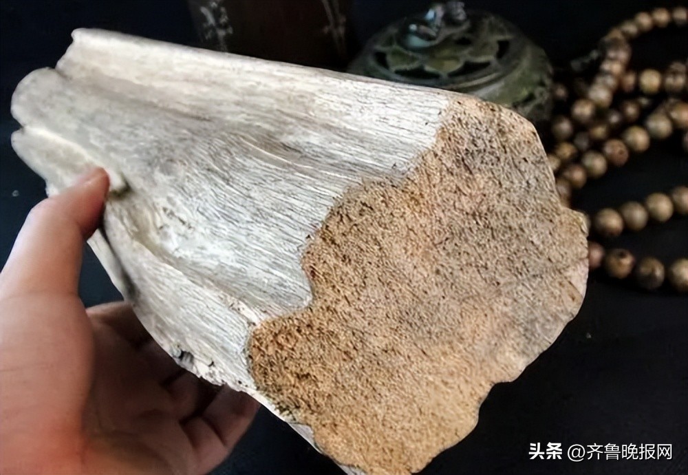 几百块钱能买到真正的沉香吗,如何分辨网上卖的真假沉香