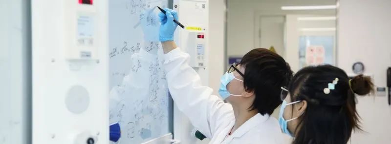 比尔盖茨谈人工智能它将加速创新,比尔盖茨对企业创新的态度