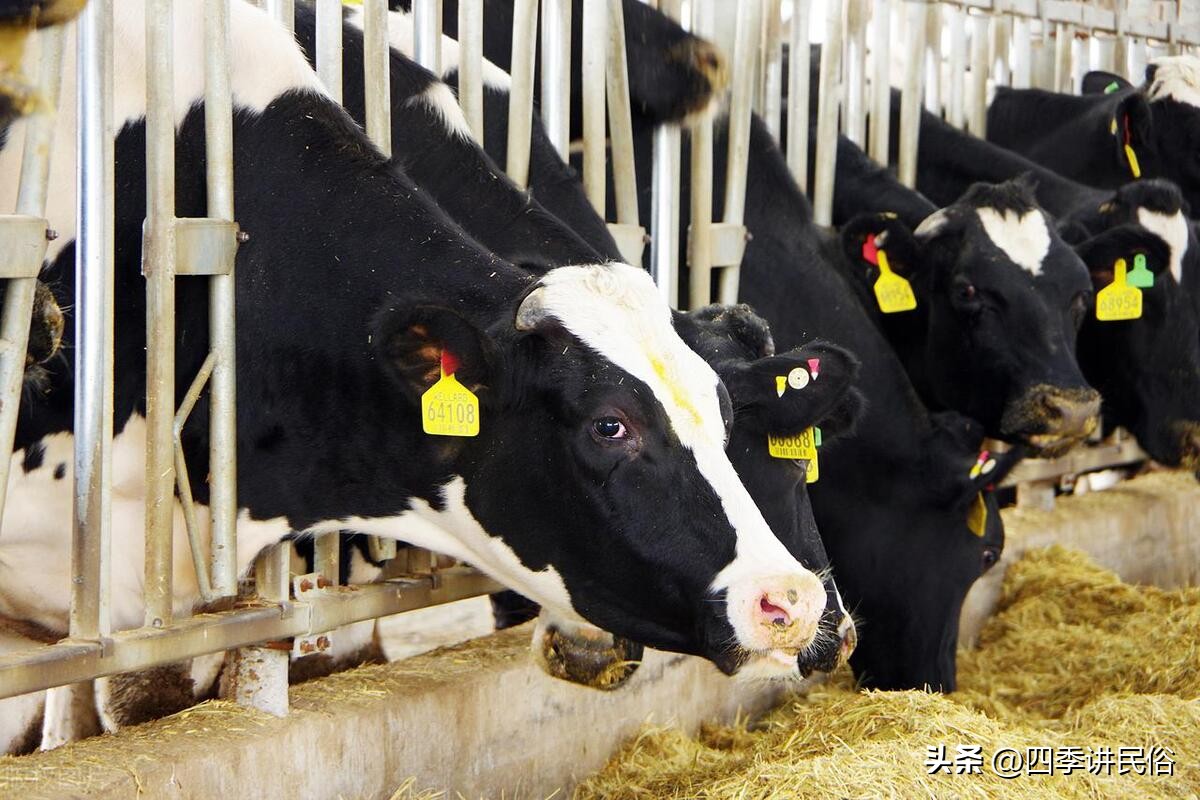 下半年农村最火爆的生意,农村有哪些不起眼的生意可以做