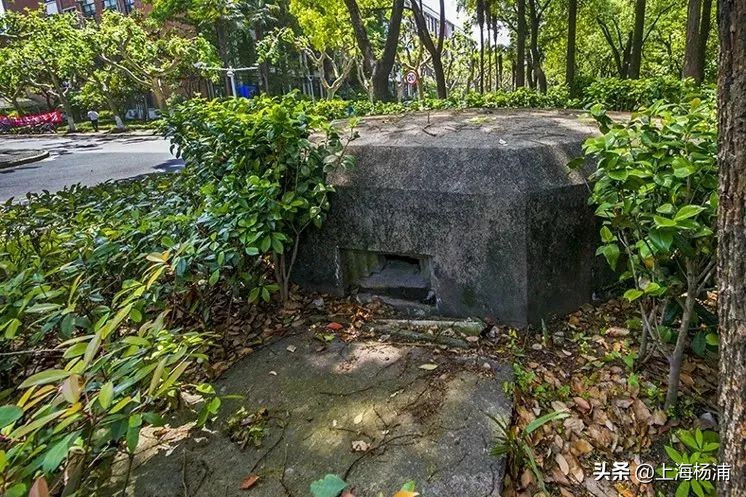 速来围观！这一大赛获奖作品出炉！发现杨浦的“小而美”