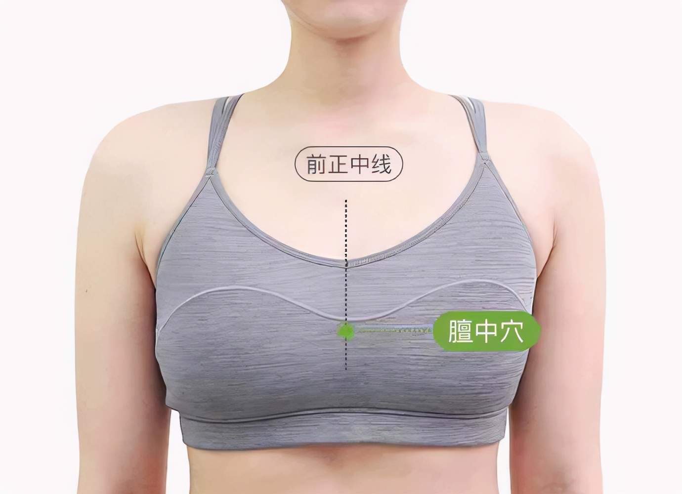 膻中穴疼痛的中医辨证,中医的膻中是指什么部位