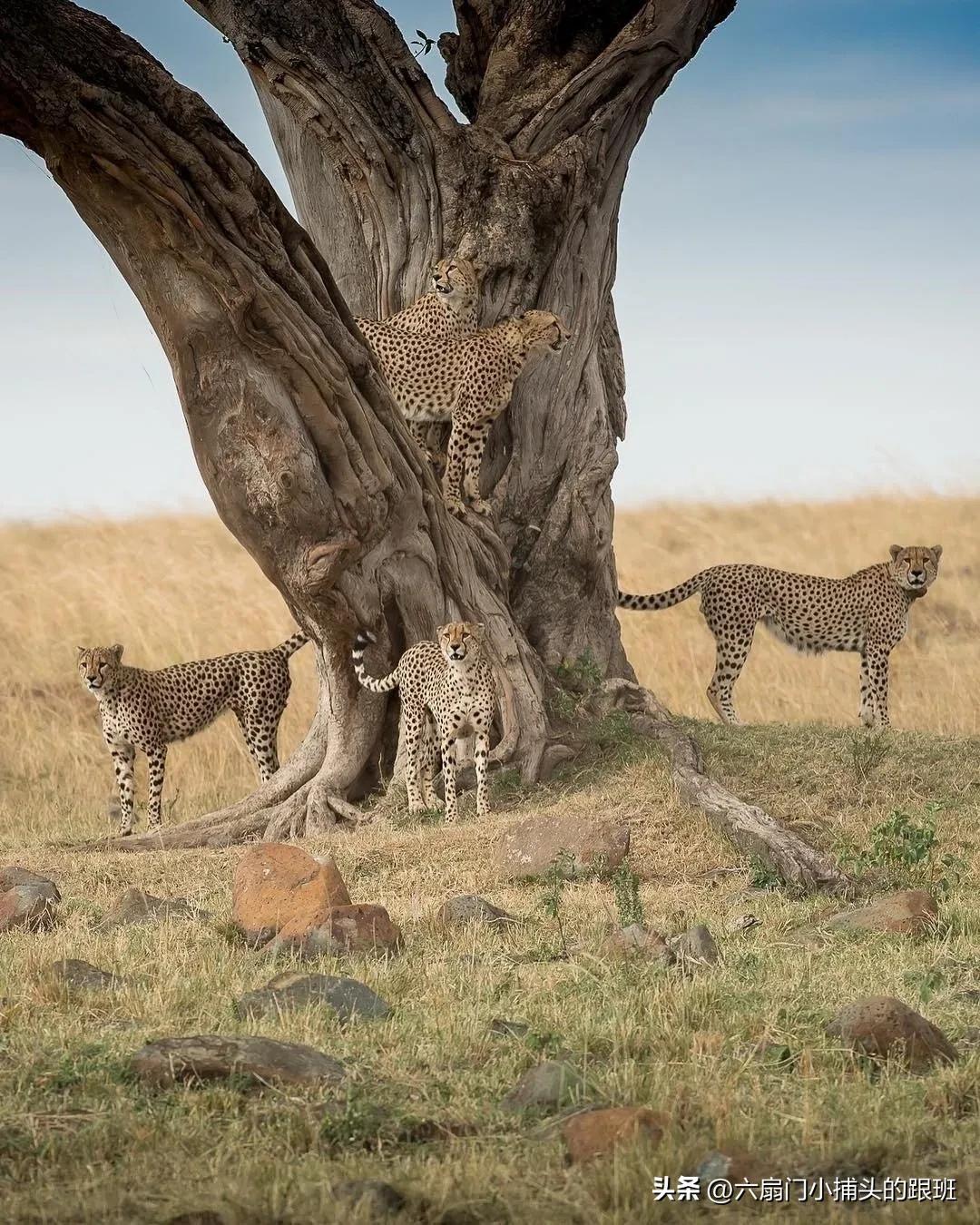 懂懂日记全集,懂懂日记和艾浪笔记