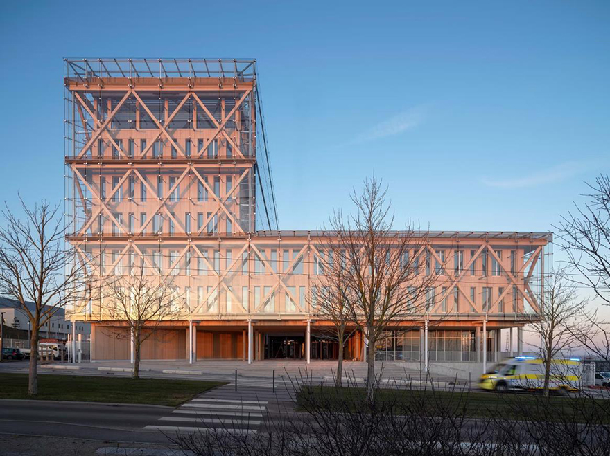 typology涓枃,typology