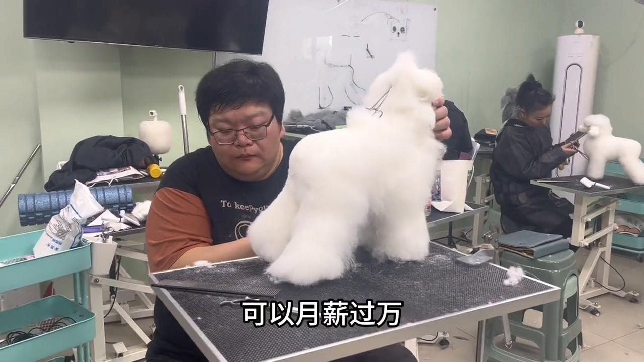 涓婃捣鍝噷鏈夊疇鐗╃編瀹瑰笀鍩硅瀛︽牎,涓婃捣鍌查泟瀹犵墿缇庡鍩硅瀛︽牎