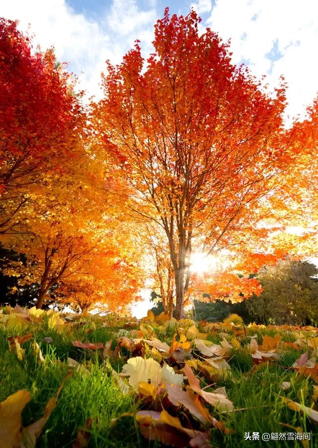 关于春夏秋冬的诗词名句有哪些,描写春夏秋冬四季的诗词有哪些